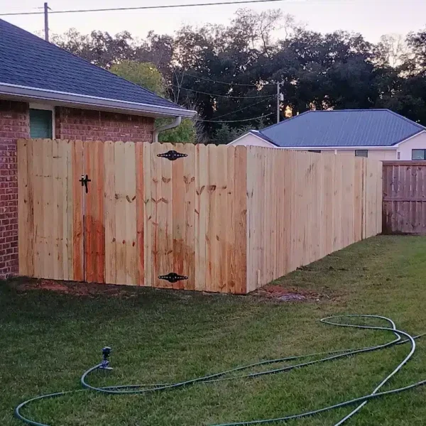 Privacy Fence